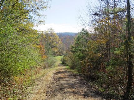 Recreational Property in Cullman County, Alabama