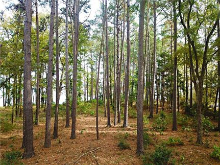 Farm and Ranch in Henderson County, Texas