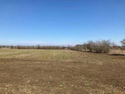 Undeveloped Land in Lee County, Texas