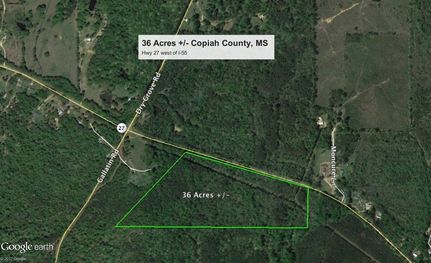 Timberland Property in Copiah County, Mississippi