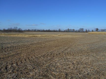 Farm and Ranch in Ralls County, Missouri