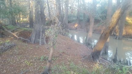 Riverfront Property in Wharton County, Texas