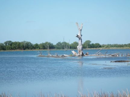 Farm and Ranch in Monroe County, Mississippi