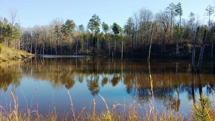 Farm and Ranch in Fairfield County, South Carolina