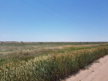 Farm and Ranch in Phillips County, Colorado