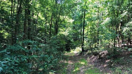 Recreational Property in Cass County, Texas