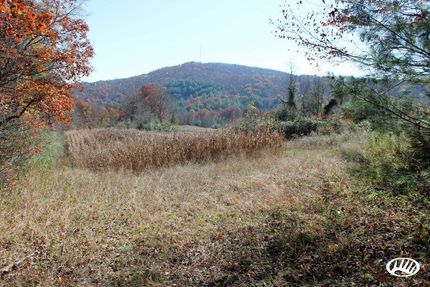 Farm and Ranch in Morgan County, Tennessee