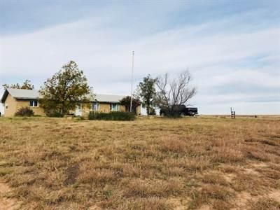 Timberland Property in Donley County, Texas