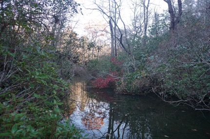 Undeveloped Land in Dade County, Georgia