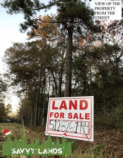 Timberland Property in Liberty County, Texas