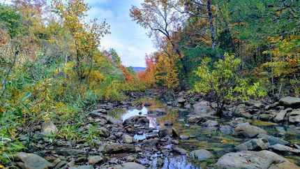 Undeveloped Land in Le Flore County, Oklahoma