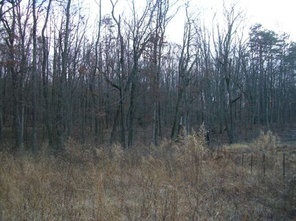 Undeveloped Land in Jackson County, Alabama