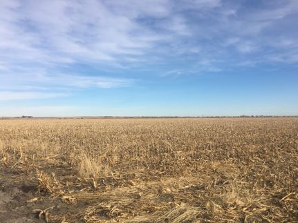 Farm and Ranch in Colfax County, Nebraska