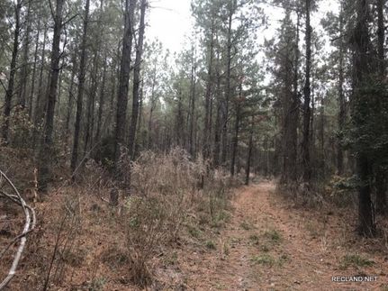 Land in Winn Parish, Louisiana