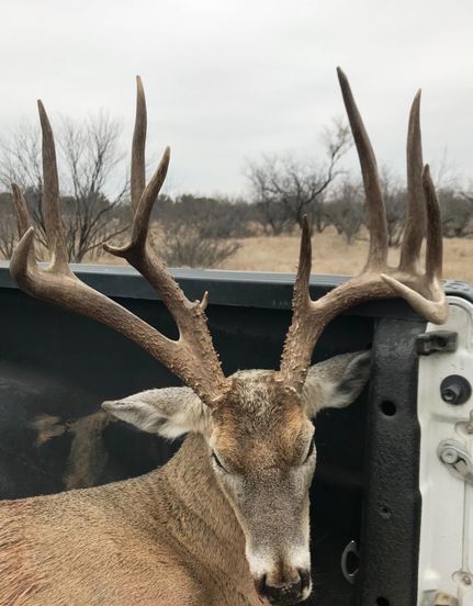 Farm and Ranch in Stephens County, Texas