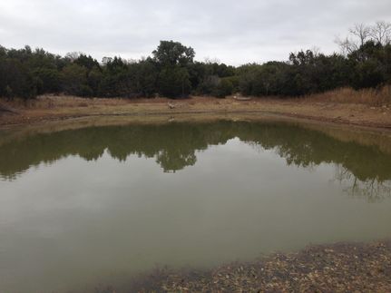 Undeveloped Land in Coleman County, Texas