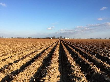 Farm and Ranch in Dunklin County, Missouri
