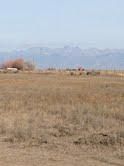 Land in Alamosa County, Colorado