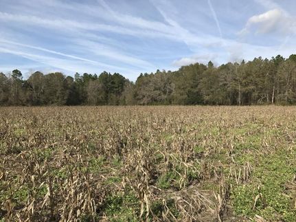 Farm and Ranch in Bacon County, Georgia