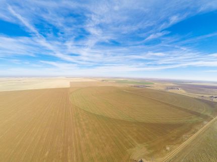 Farm and Ranch in Parmer County, Texas