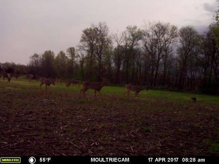 Farm and Ranch in Pike County, Missouri