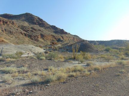 Land in Brewster County, Texas
