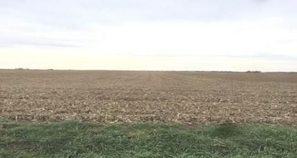 Farm and Ranch in Ford County, Illinois