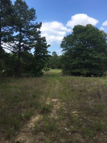 Timberland Property in Pushmataha County, Oklahoma
