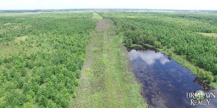 Timberland Property in Madison Parish, Louisiana