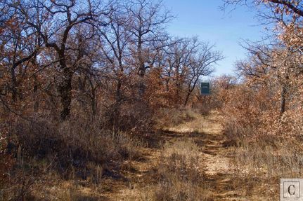 Hunting Property in Young County, Texas