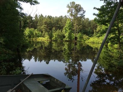 Farm and Ranch in Morris County, Texas