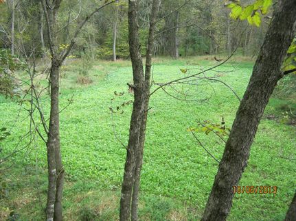 Waterfront Property in Buffalo County, Wisconsin
