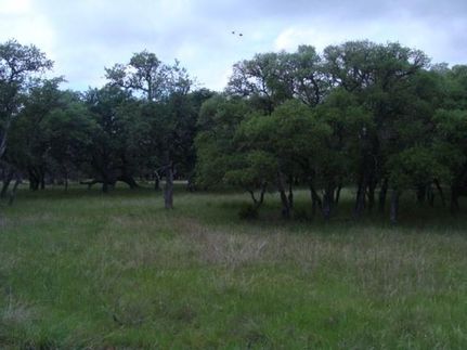 Undeveloped Land in Gillespie County, Texas