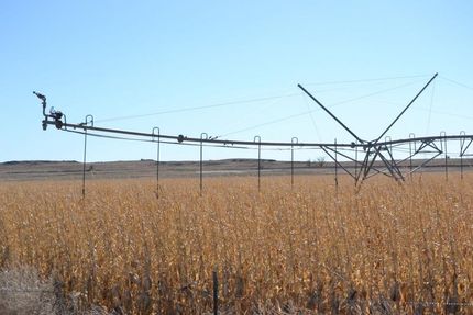 Undeveloped Land in Logan County, Colorado