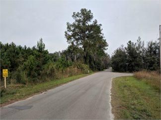 Undeveloped Land in Union County, Florida