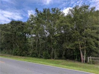 Farm and Ranch in Suwannee County, Florida