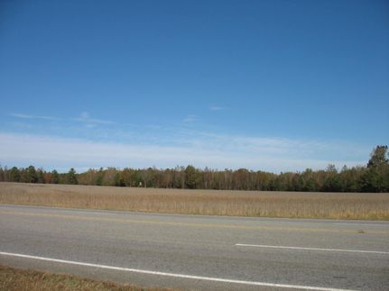 Undeveloped Land in Sussex County, Virginia