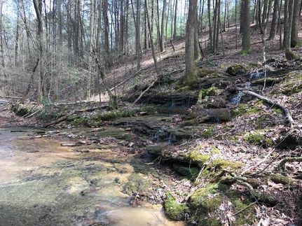 Farm and Ranch in Roane County, Tennessee