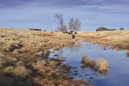 Undeveloped Land in Grady County, Oklahoma