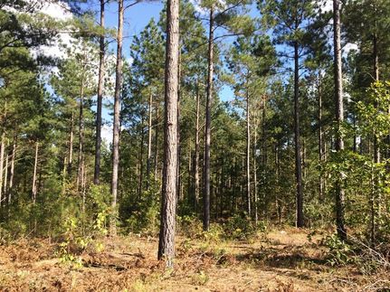 Recreational Property in McNairy County, Tennessee