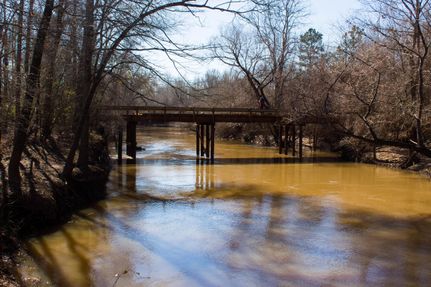 Undeveloped Land in Nacogdoches County, Texas