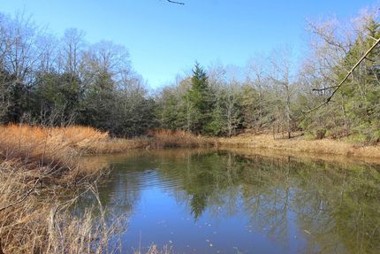 Undeveloped Land in Robertson County, Texas