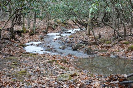 Waterfront Property in Craig County, Virginia