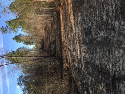 Farm and Ranch in Harrison County, Mississippi