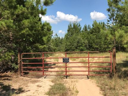 Timberland Property in Tyler County, Texas