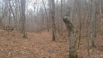 Land in Wythe County, Virginia