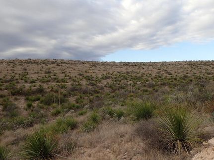 Farm and Ranch in Terrell County, Texas