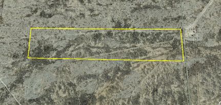 Timberland Property in Reeves County, Texas