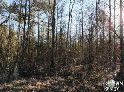 Farm and Ranch in West Carroll Parish, Louisiana