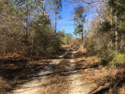 Farm and Ranch in Barbour County, Alabama